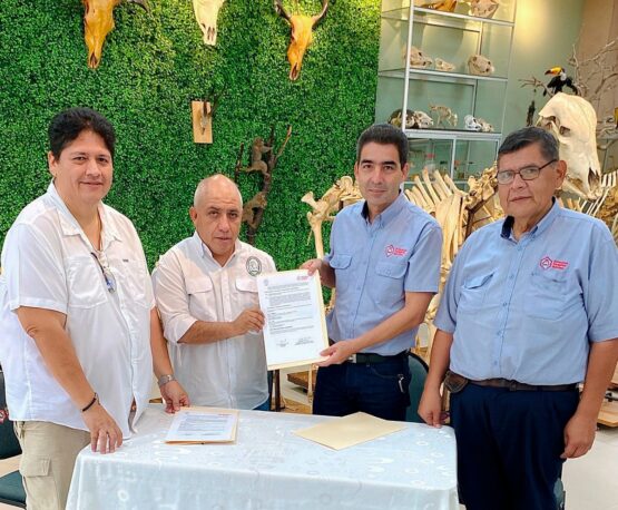 CONVENIO UEB 2